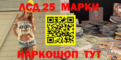 гидра Будённовск