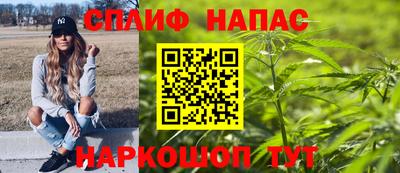 гидра Будённовск