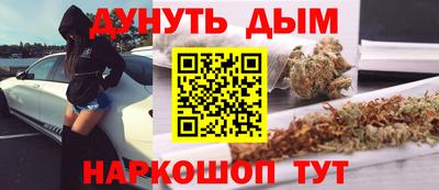 гидра Будённовск