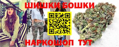 гидра Будённовск