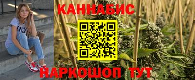гидра Будённовск