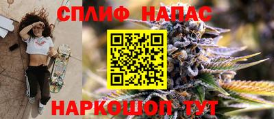 гидра Будённовск
