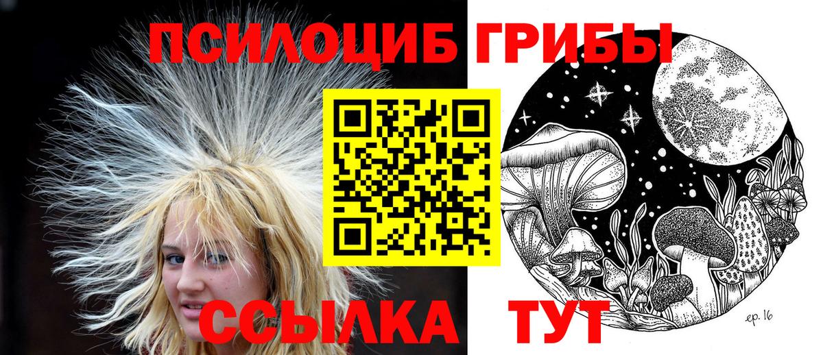 Галлюциногенные грибы мицелий Нижний Тагил